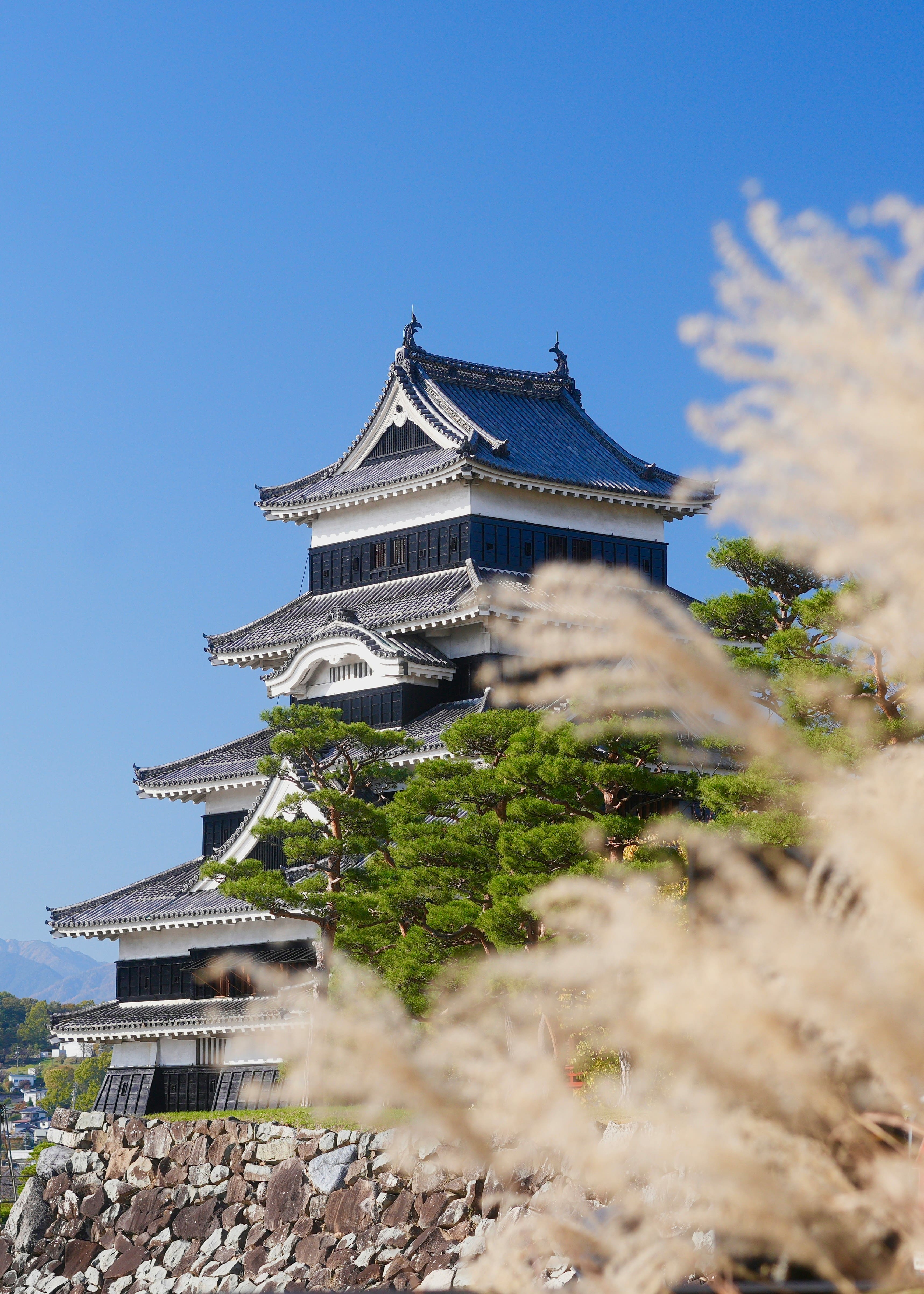 美しい日本庭園の風景