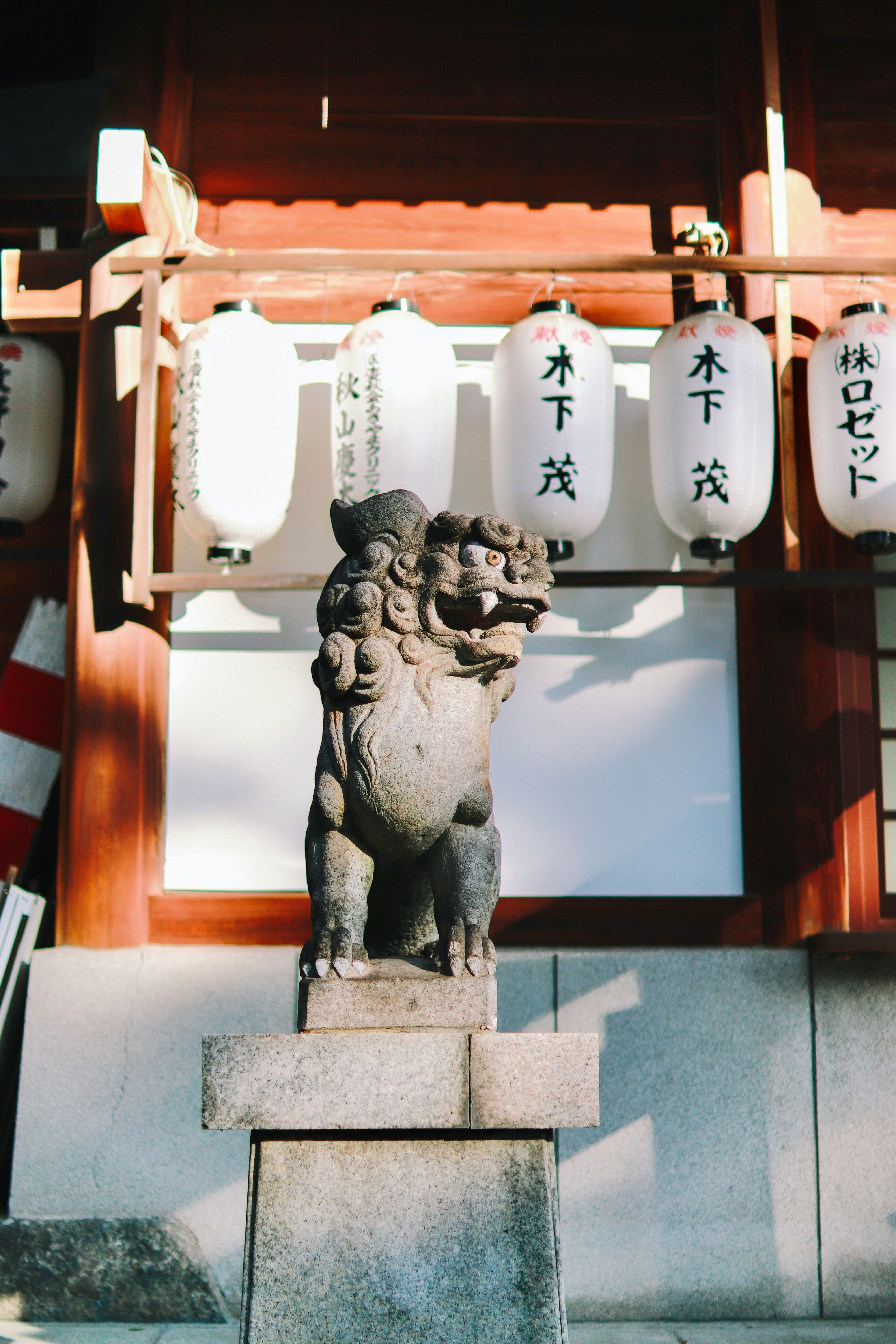 日本の郷土料理
